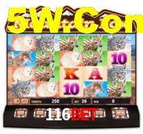 116Bet,116Bet Login
